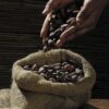 526663-cocoa-beans-499970_1920 ENA-KORI 85% — The Copper (Bronce Amazónico) | 70g