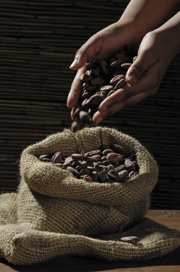 526663-cocoa-beans-499970_1920 ENA-KORI 85% — The Copper (Bronce Amazónico) | 70g