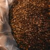 Plata Nativa ENA KORI – Granos de Cacao Nativo de Altura
