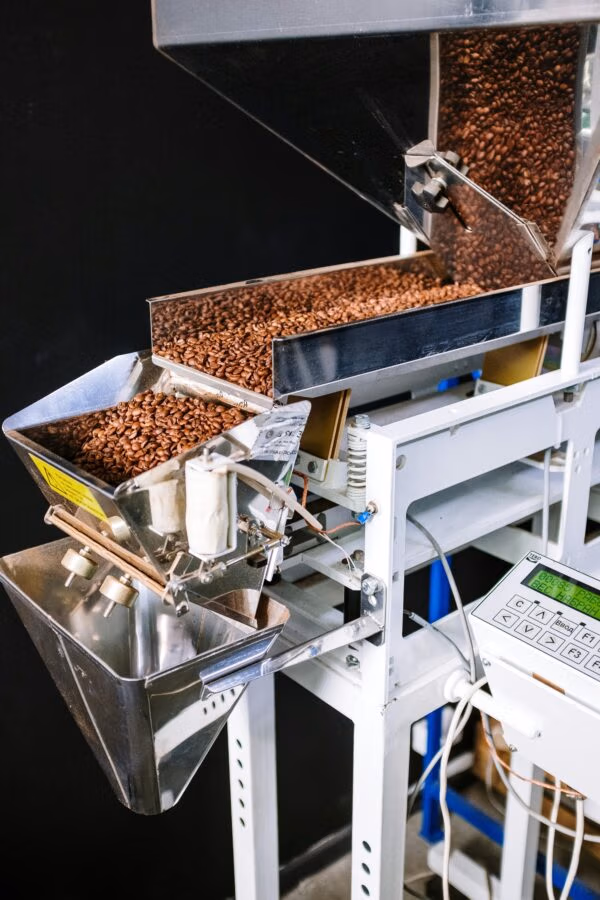 Bronce Amazónico ENA KORI – Granos de Cacao Intenso